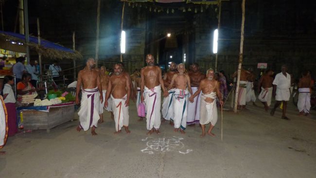 Thoopul Swami desikan Thirunakshatra Utsavam day 7 Evening Purappadu 2015 30