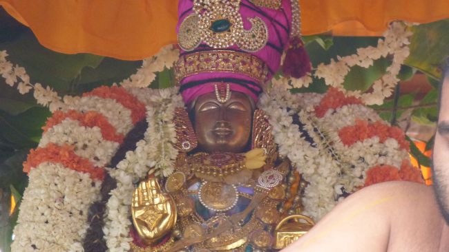 Thoopul  Swami desikan Thirunakshatra Utsavam day 7 Thiruther 2015 06