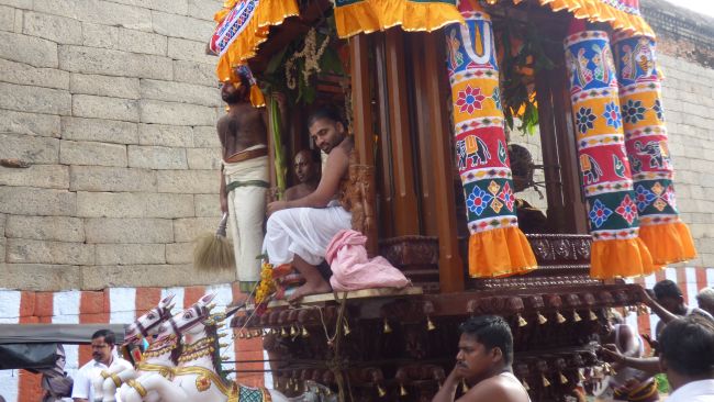 Thoopul  Swami desikan Thirunakshatra Utsavam day 7 Thiruther 2015 15