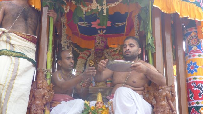 Thoopul  Swami desikan Thirunakshatra Utsavam day 7 Thiruther 2015 19