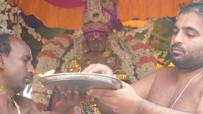 Thoopul  Swami desikan Thirunakshatra Utsavam day 7 Thiruther 2015 20