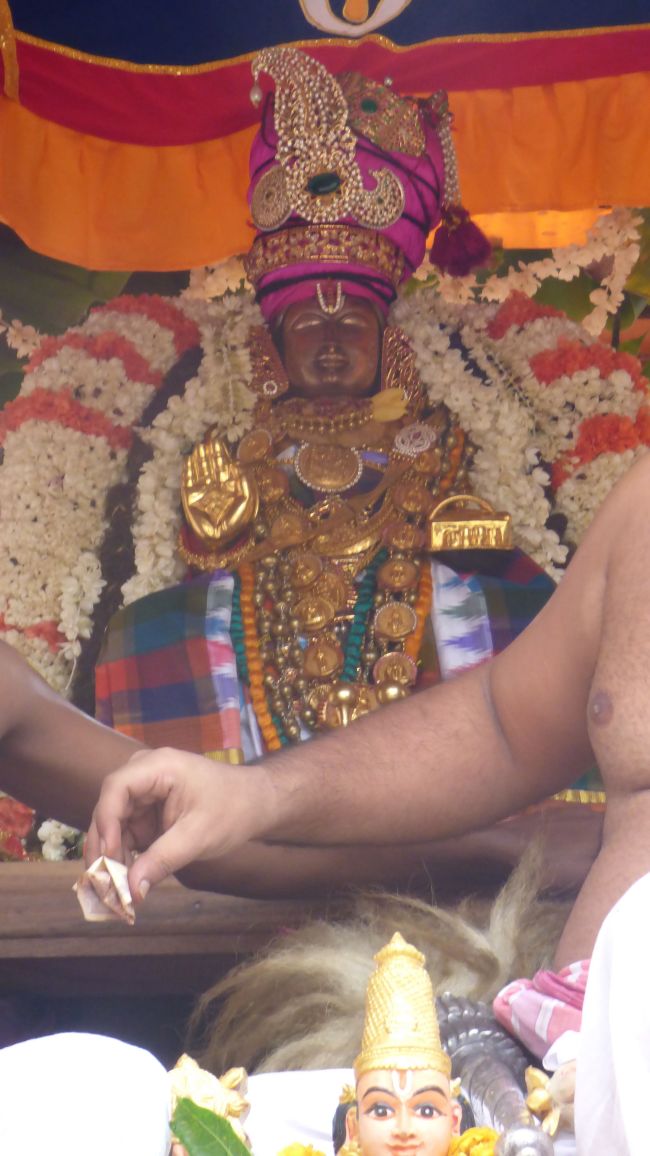 Thoopul  Swami desikan Thirunakshatra Utsavam day 7 Thiruther 2015 21