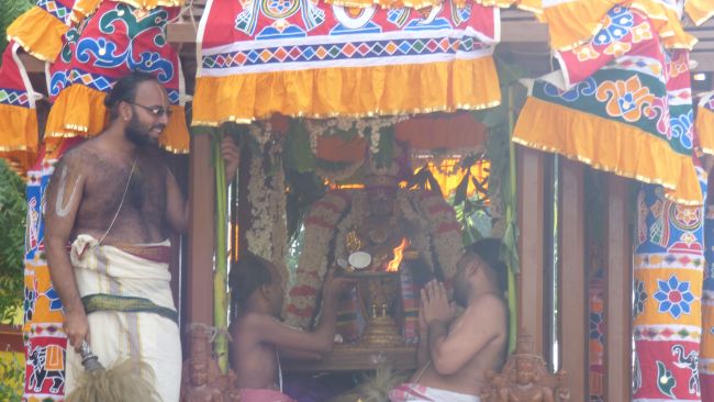 Thoopul  Swami desikan Thirunakshatra Utsavam day 7 Thiruther 2015 32