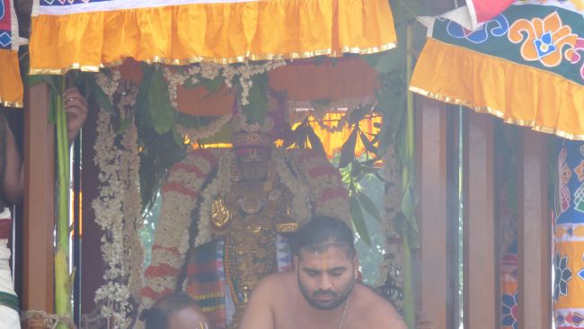 Thoopul  Swami desikan Thirunakshatra Utsavam day 7 Thiruther 2015 33
