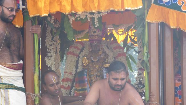 Thoopul  Swami desikan Thirunakshatra Utsavam day 7 Thiruther 2015 34