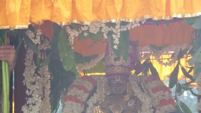 Thoopul  Swami desikan Thirunakshatra Utsavam day 7 Thiruther 2015 35