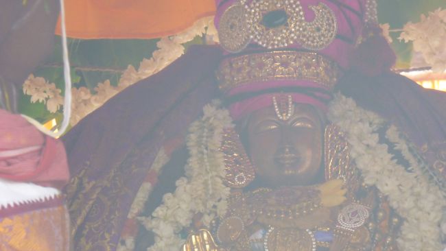 Thoopul  Swami desikan Thirunakshatra Utsavam day 7 Thiruther 2015 37