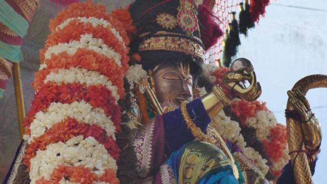Thoopul  Swami desikan Thirunakshatra Utsavam day 8 Kalinga Narthanar 2015 11