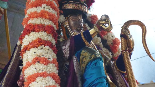 Thoopul  Swami desikan Thirunakshatra Utsavam day 8 Kalinga Narthanar 2015 12