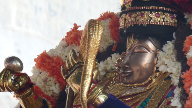 Thoopul  Swami desikan Thirunakshatra Utsavam day 8 Kalinga Narthanar 2015 15