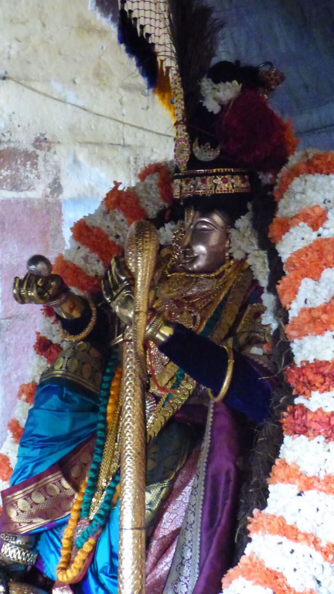 Thoopul  Swami desikan Thirunakshatra Utsavam day 8 Kalinga Narthanar 2015 23