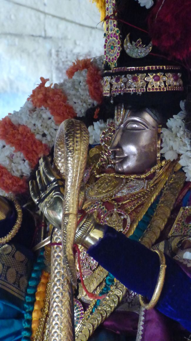 Thoopul  Swami desikan Thirunakshatra Utsavam day 8 Kalinga Narthanar 2015 24