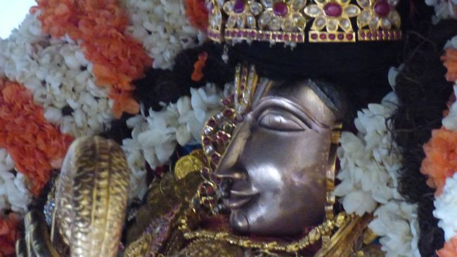 Thoopul  Swami desikan Thirunakshatra Utsavam day 8 Kalinga Narthanar 2015 25