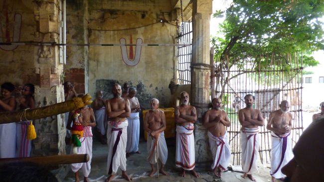 Thoopul  Swami desikan Thirunakshatra Utsavam day 8 Kalinga Narthanar 2015 27