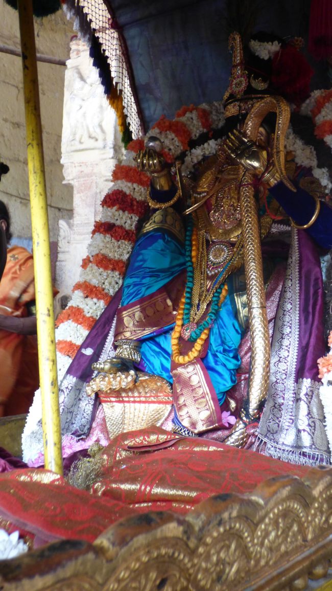Thoopul  Swami desikan Thirunakshatra Utsavam day 8 Kalinga Narthanar 2015 33