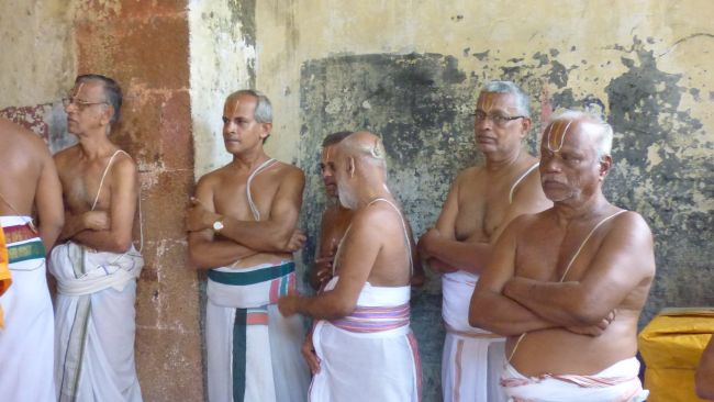 Thoopul  Swami desikan Thirunakshatra Utsavam day 8 Kalinga Narthanar 2015 37