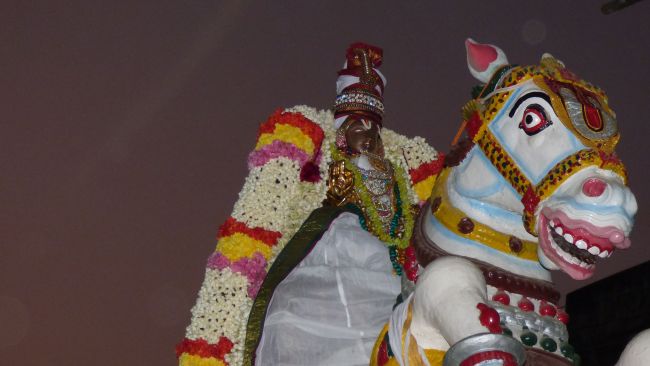 Thoopul Swami desikan Thirunakshatra Utsavam day 8 Kudhirai vahanam 2015 15