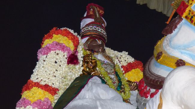 Thoopul Swami desikan Thirunakshatra Utsavam day 8 Kudhirai vahanam 2015 18