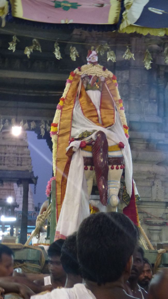 Thoopul Swami desikan Thirunakshatra Utsavam day 8 Kudhirai vahanam 2015 22