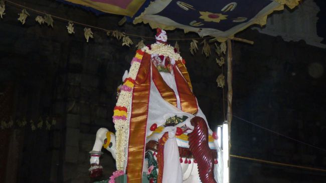 Thoopul Swami desikan Thirunakshatra Utsavam day 8 Kudhirai vahanam 2015 32