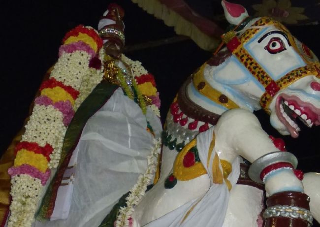 Thoopul Swami desikan Thirunakshatra Utsavam day 8 Kudhirai vahanam 2015 35