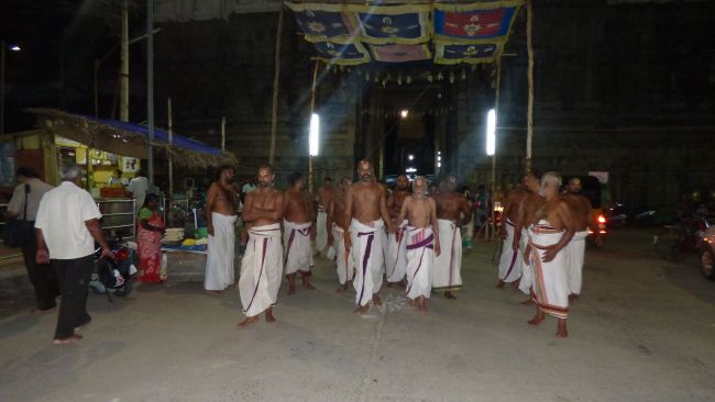 Thoopul Swami desikan Thirunakshatra Utsavam day 8 Kudhirai vahanam 2015 37