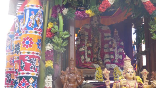 Thoopul Vilakoli Perumal Temple Noothana Thiruther-2015 11