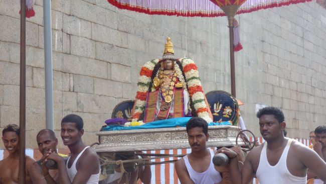 Thoopul Vilakoli Perumal Temple Noothana Thiruther-2015 22