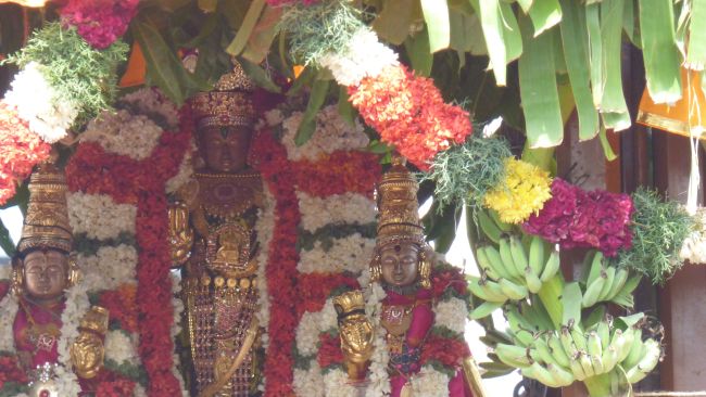 Thoopul Vilakoli Perumal Temple Noothana Thiruther-2015 26
