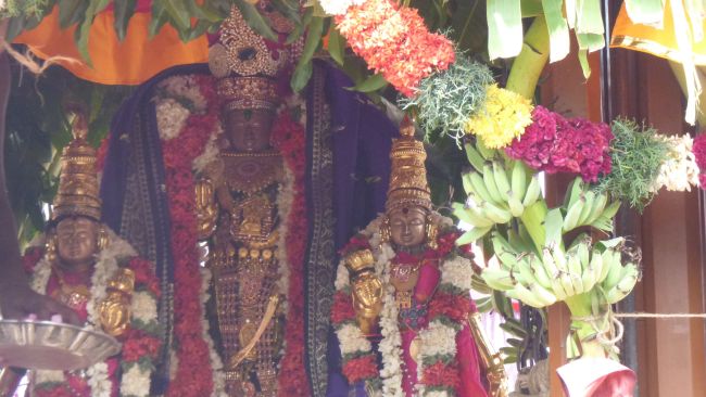 Thoopul Vilakoli Perumal Temple Noothana Thiruther-2015 34