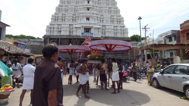 Thoopul Vilakoli Perumal Temple Noothana Thiruther-2015 35