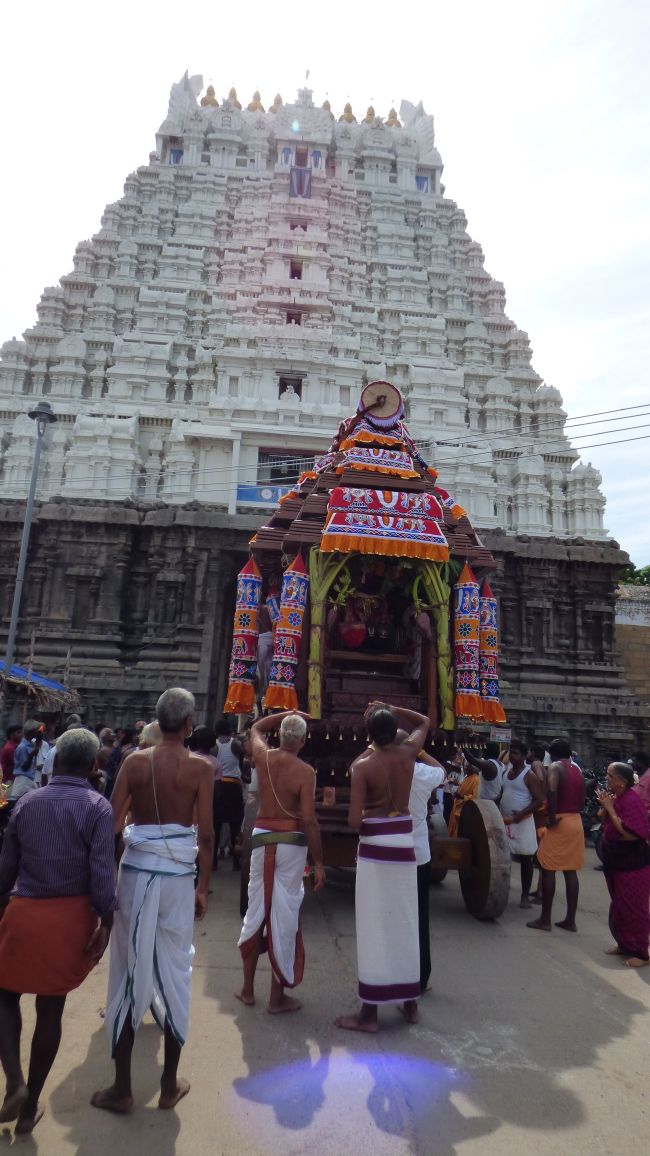 Thoopul Vilakoli Perumal Temple Noothana Thiruther-2015 36