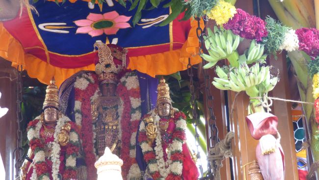 Thoopul Vilakoli Perumal Temple Noothana Thiruther-2015 37