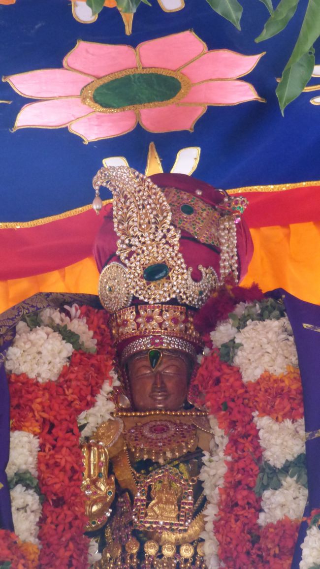 Thoopul Vilakoli Perumal Temple Noothana Thiruther-2015 38