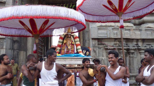 Thoopul Vilakoli Perumal Temple Noothana Thiruther-2015 42