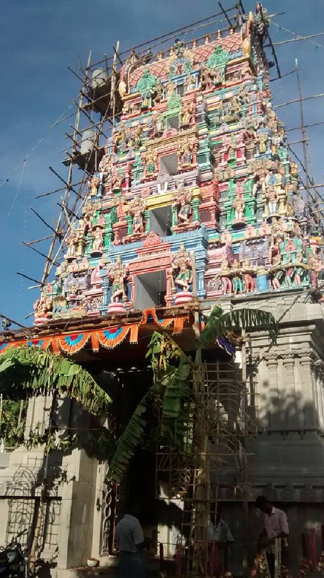Vandavasi Sri Ranganatha Peurmal Temple Samprokshanam 2015 24