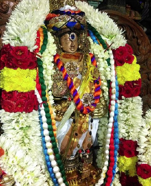 mylai Sri adhikesava perumal temple Pavithrotsavam 2015-1