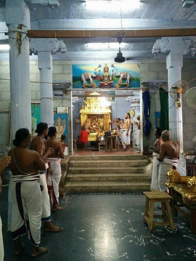 HH 46th Srimad Azhagiyasingar Vijayam to Srirangam Dasavatara Sannidhi5