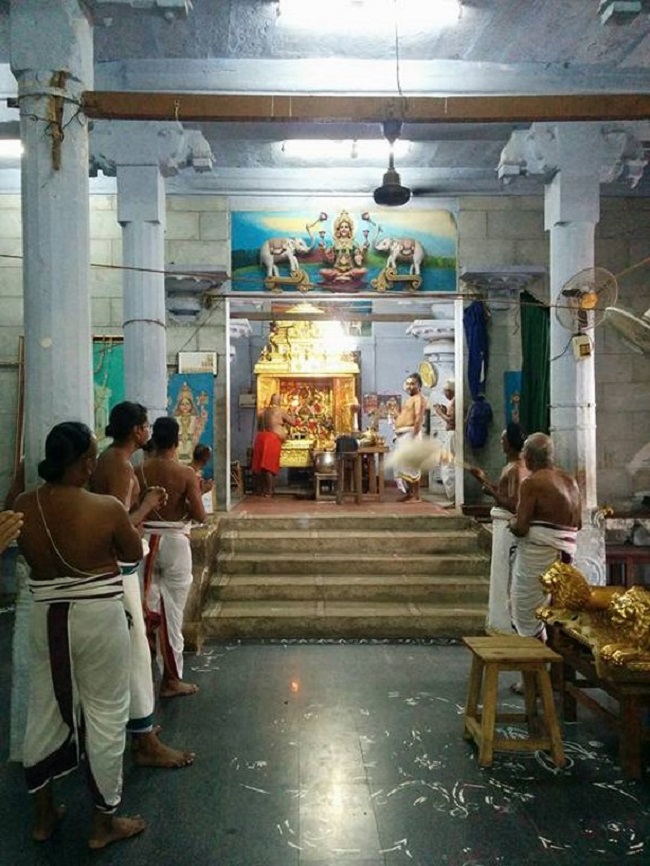 HH 46th Srimad Azhagiyasingar Vijayam to Srirangam Dasavatara Sannidhi7