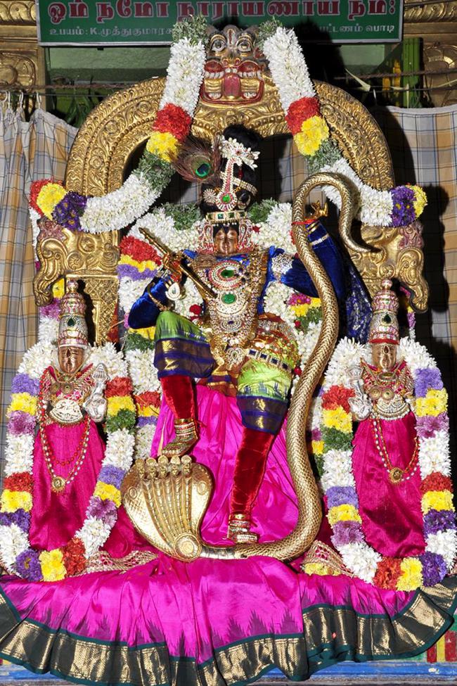 Kaladipet-Sri-Kalyana-Varadharaja-Perumal6