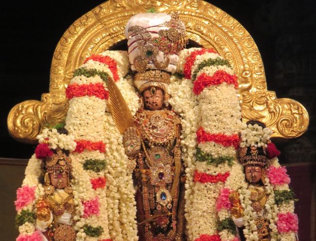 Kanchi Perumal Kovil Sri Boodathazhwar Thirunakshatra Satrumurai- 2015-06.jpg