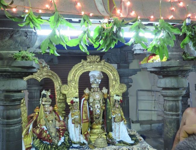 Kanchi Sri Devaperumal Sannadhi Mahanavami evening Purappadu- 2015-02.jpg