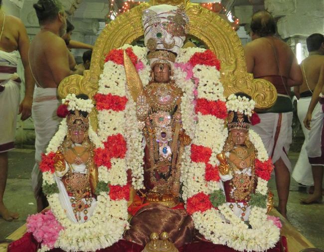Kanchi Sri Devaperumal Sannadhi Mahanavami evening Purappadu- 2015-09.jpg