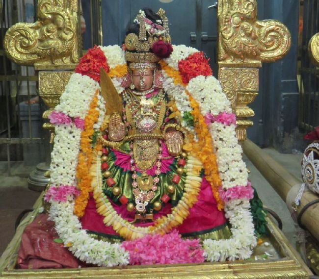 Kanchi Sri Devaperumal sannadhi navarathri utsavam day 8- 2015-05.jpg