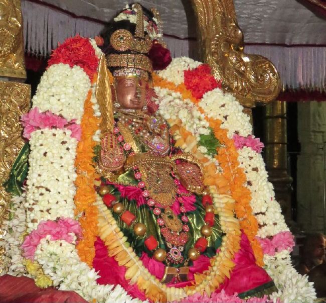 Kanchi Sri Devaperumal sannadhi navarathri utsavam day 8- 2015-08.jpg