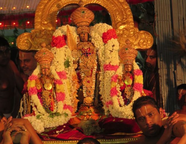 Kanchi Sri Devaperumal sannadhi navarathri utsavam day 8- 2015-20.jpg