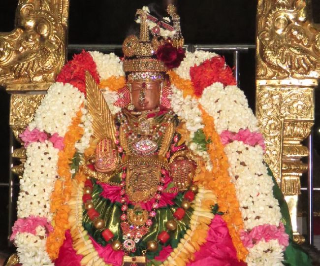 Kanchi Sri Devaperumal sannadhi navarathri utsavam day 8- 2015-31.jpg