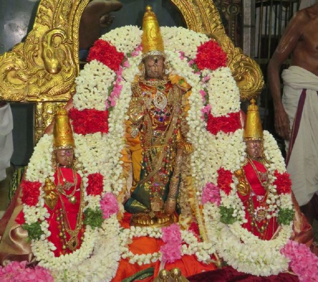 Kanchi Sri Devarajaswami Temple Manmadha Purattasi Pournami Purappadu 2015-01.jpg