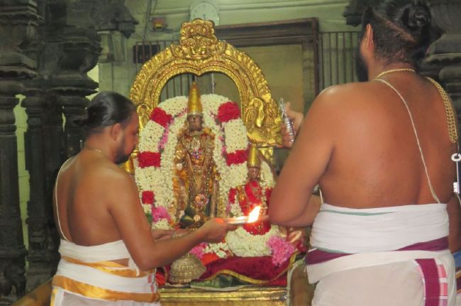 Kanchi Sri Devarajaswami Temple Manmadha Purattasi Pournami Purappadu 2015-02.jpg