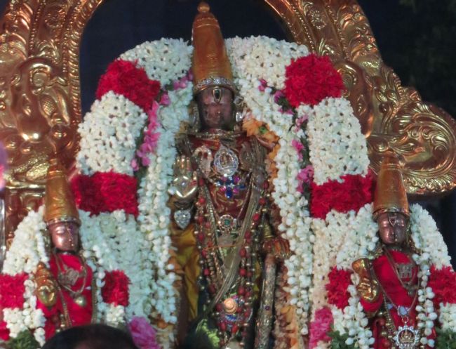Kanchi Sri Devarajaswami Temple Manmadha Purattasi Pournami Purappadu 2015-20.jpg